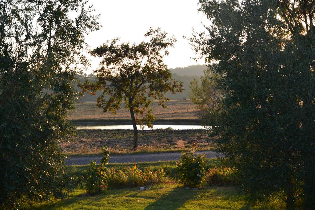 Agriturismo Podere Micitto Usi Pokój zdjęcie