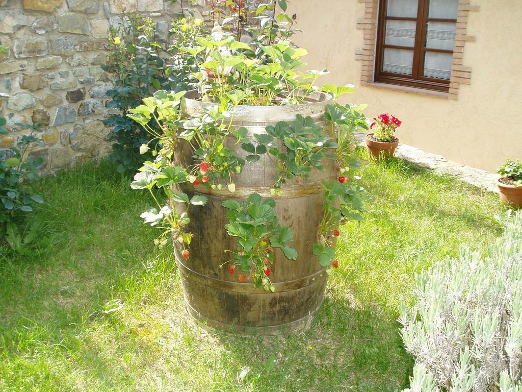 Agriturismo Podere Micitto Usi Zewnętrze zdjęcie