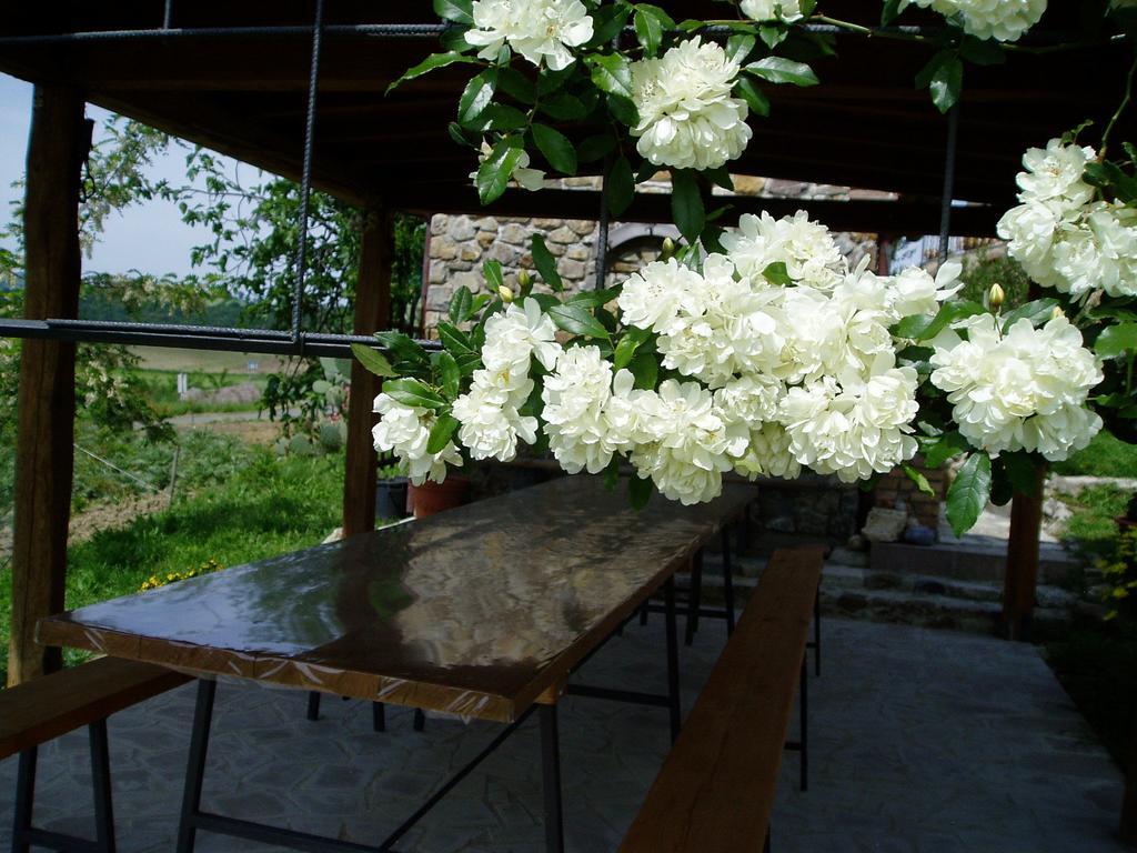 Agriturismo Podere Micitto Usi Zewnętrze zdjęcie