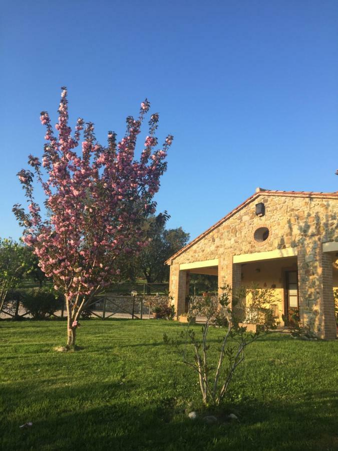 Agriturismo Podere Micitto Usi Zewnętrze zdjęcie